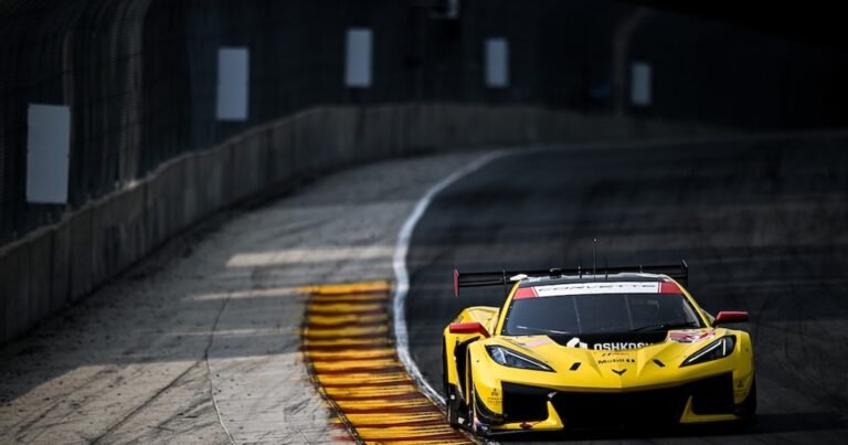 Corvette Racing by Pratt Miller Motorsports opts for continuity with 2026 IMSA line-up