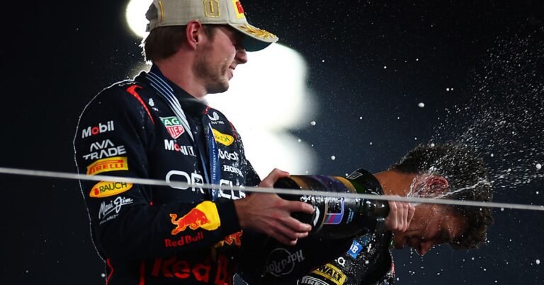 Verstappen takes pride in title fight ending with another race win despite losing out to Norris